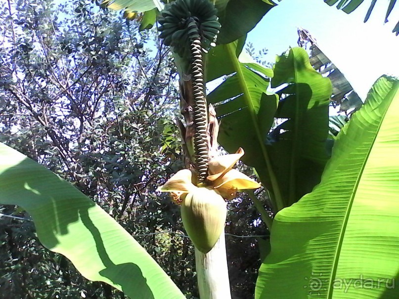 Отдых в Армянском ущелье у Давида и Аксаны