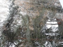 Начало каникул в осеннем Авантеле 