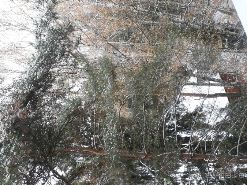 Начало каникул в осеннем Авантеле 