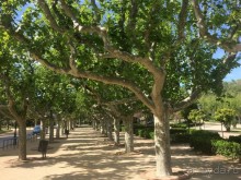 Барселона, Барселонетта, Бадалона и Ситжес с ребенком в мае