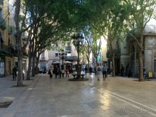 Барселона, Барселонетта, Бадалона и Ситжес с ребенком в мае