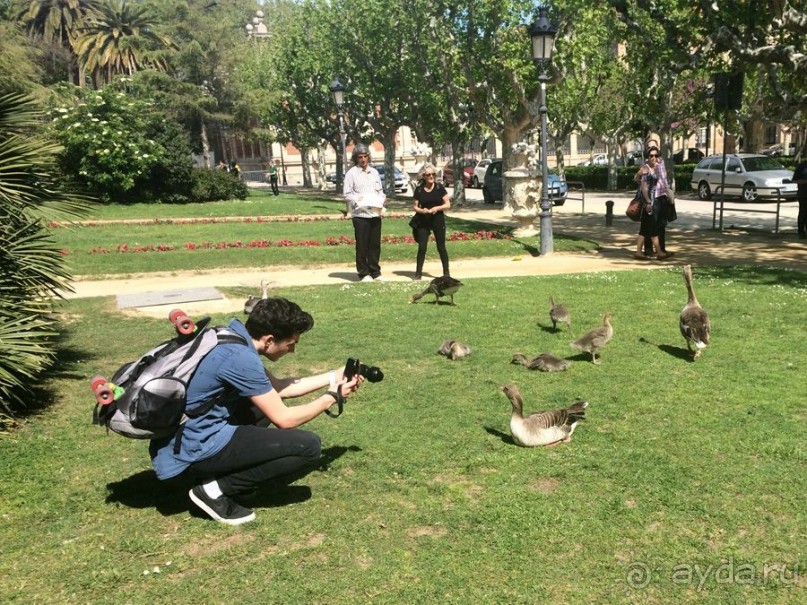 Барселона, Барселонетта, Бадалона и Ситжес с ребенком в мае