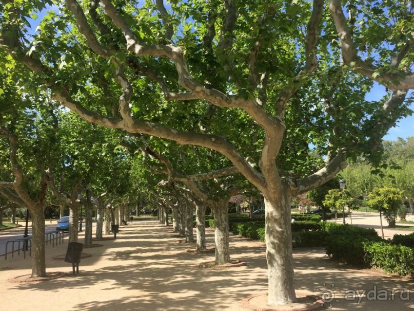 Барселона, Барселонетта, Бадалона и Ситжес с ребенком в мае