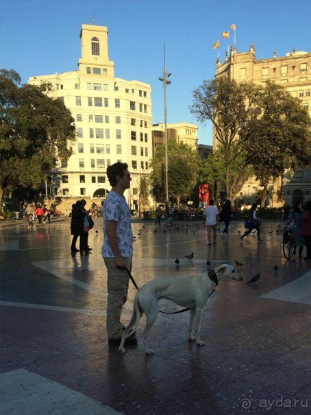Барселона, Барселонетта, Бадалона и Ситжес с ребенком в мае