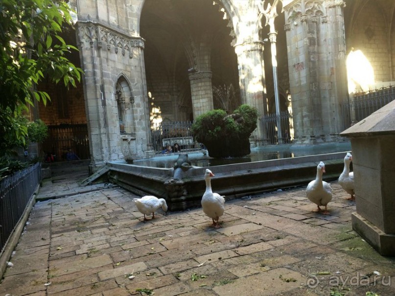 Барселона, Барселонетта, Бадалона и Ситжес с ребенком в мае