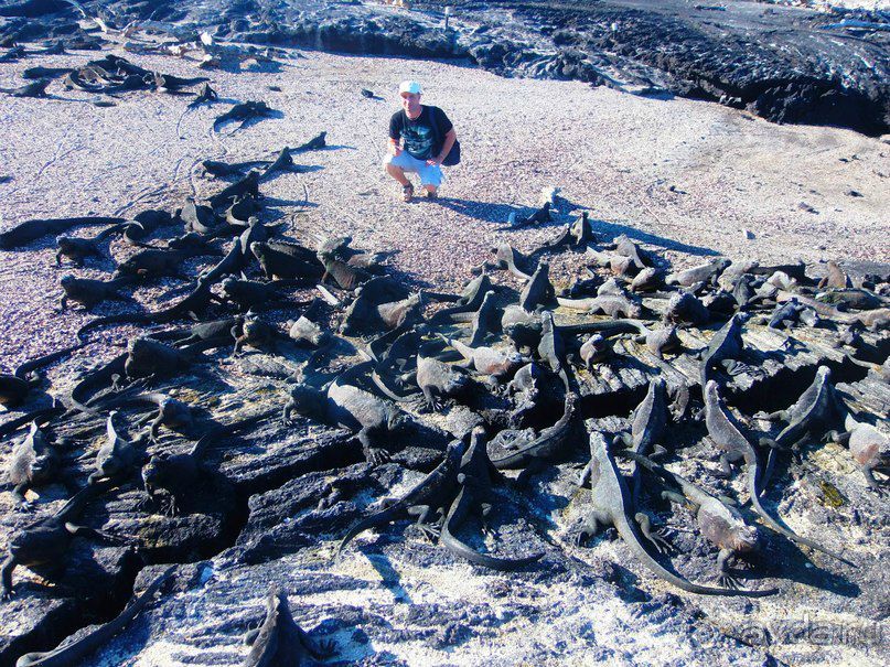 Галапагосские острова.