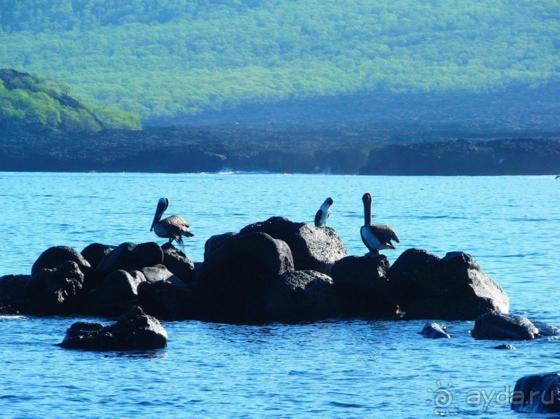 Галапагосские острова.