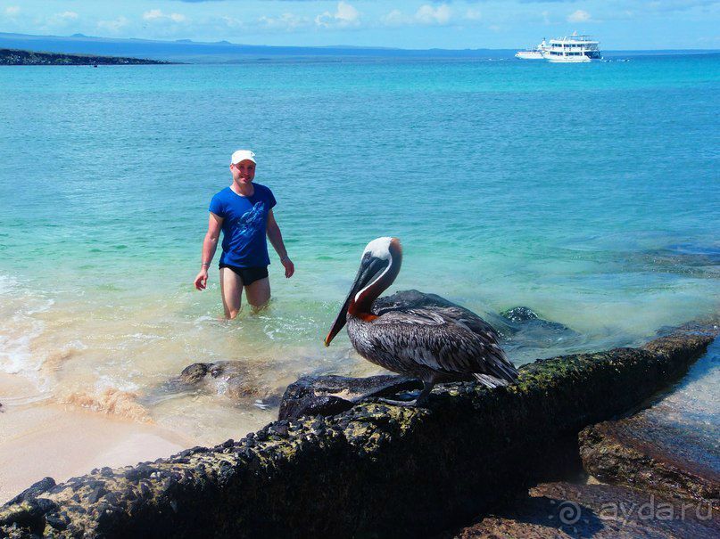 Галапагосские острова.