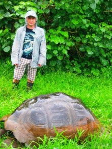 Галапагосские острова. Галапагосская слоновая черепаха.