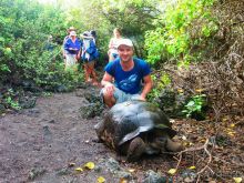 Галапагосские острова. Галапагосская слоновая черепаха.