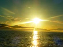 Галапагосские острова. Галапагосская слоновая черепаха.