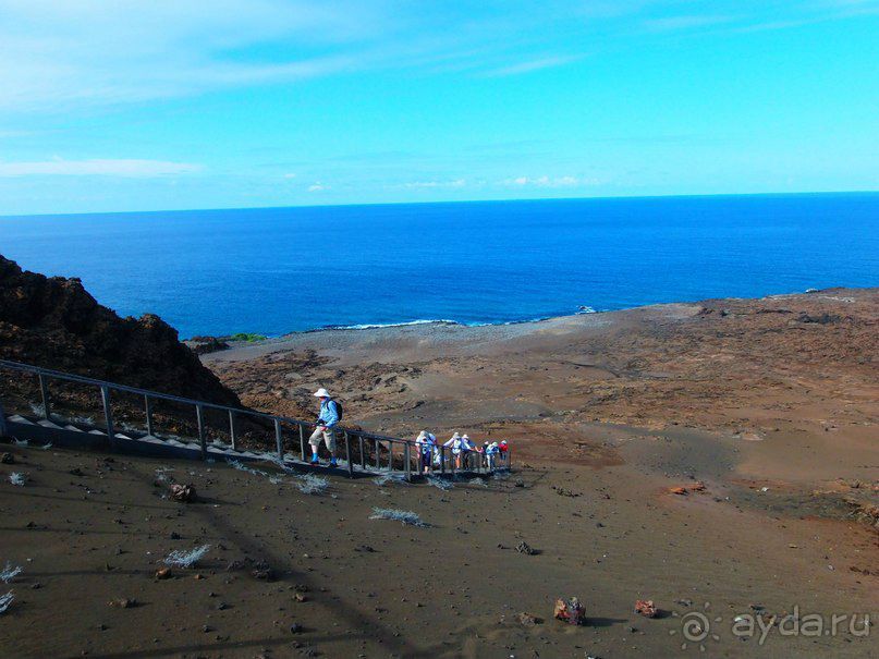 Галапагосские острова. Галапагосская слоновая черепаха.