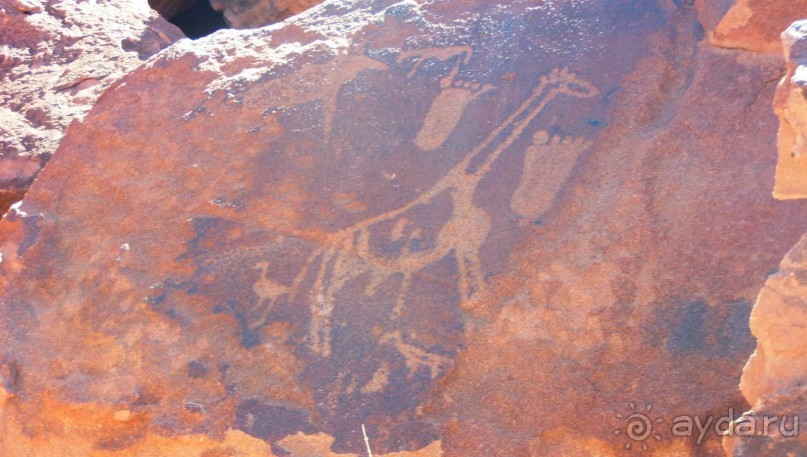 Намибия. Африка. Наскальные рисунки. 