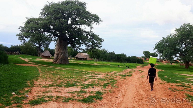 Замбия. Африка. Деревушка Лузито. 