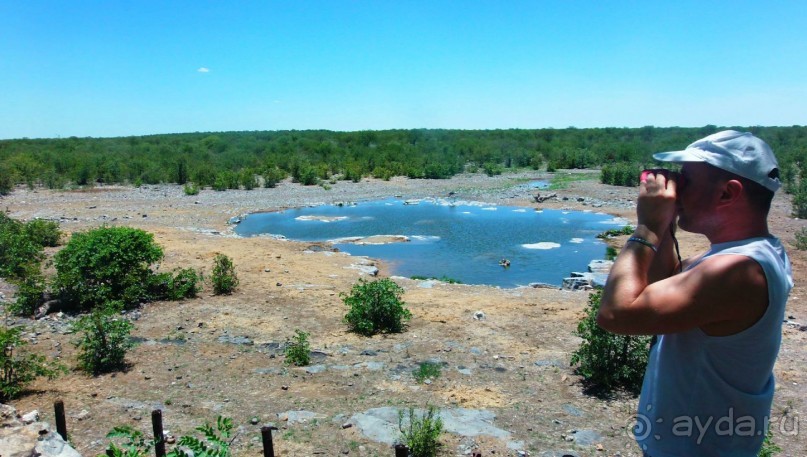 Намибия. Африка. Заповедник Этоша. 