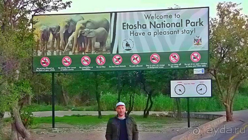 Намибия. Африка. Заповедник Этоша. 