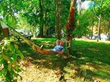 Остров Борнео. Растительный  мир. 