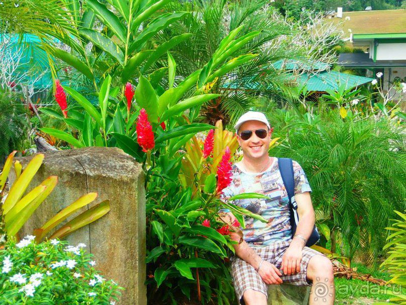 Остров Борнео. Растительный  мир. 