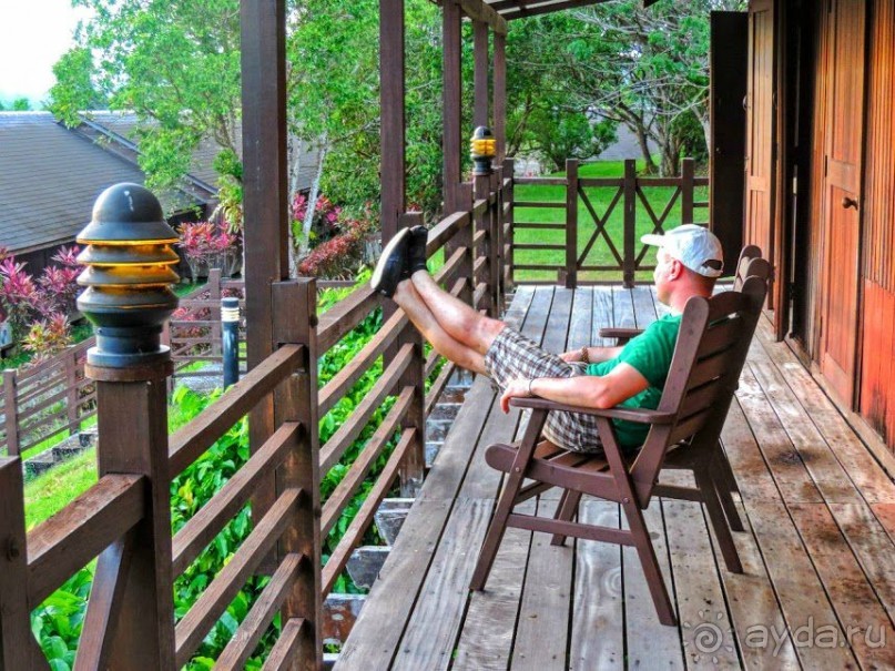 Остров Борнео. Растительный  мир. 