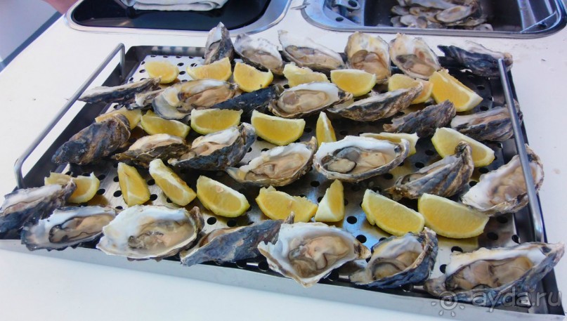 Намибия. Африка.  Прогулка на яхте.