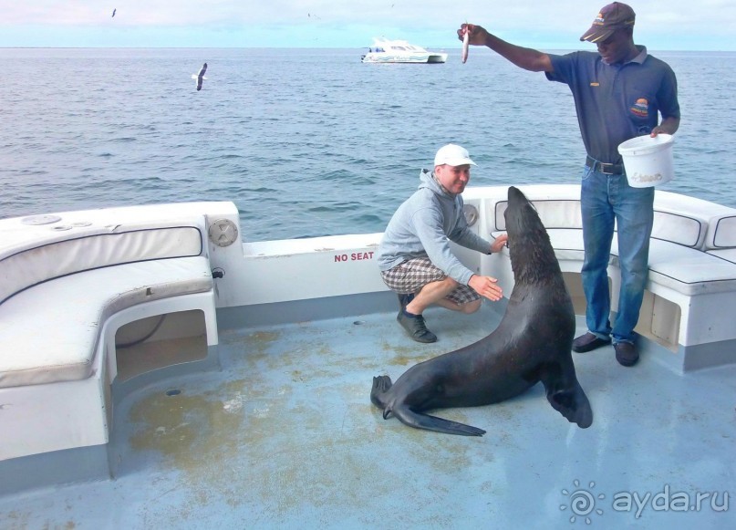 Намибия. Африка.  Прогулка на яхте.