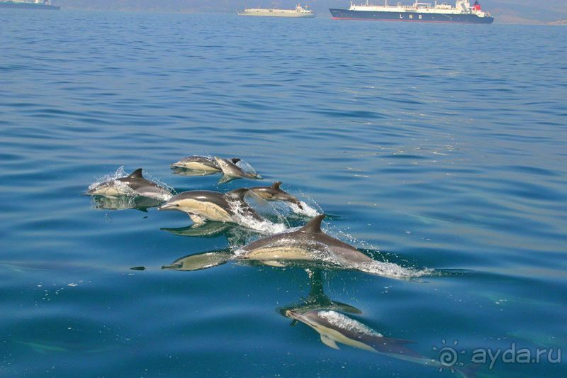 Намибия. Африка.  Прогулка на яхте.