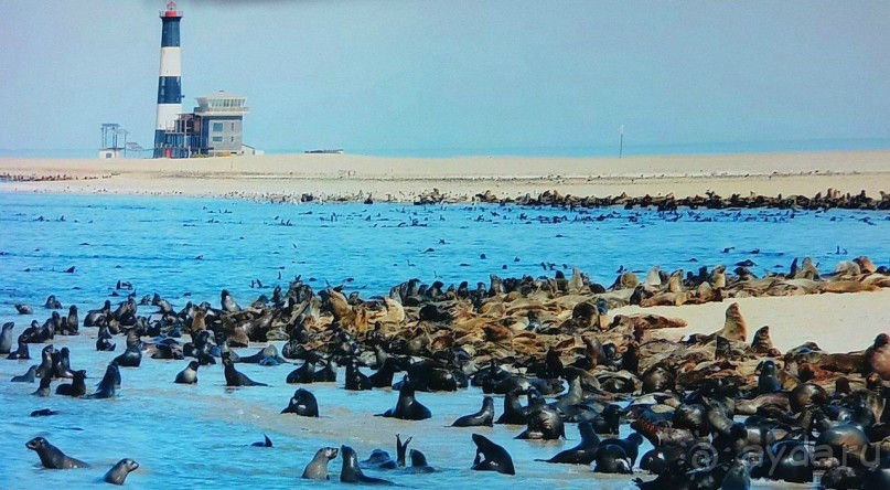 Намибия. Африка.  Прогулка на яхте.