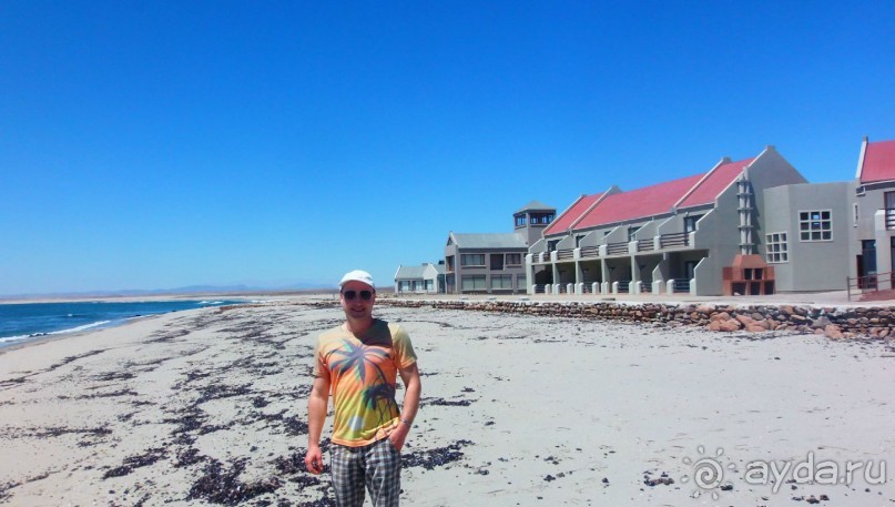 Намибия. Африка. Море морских котиков.