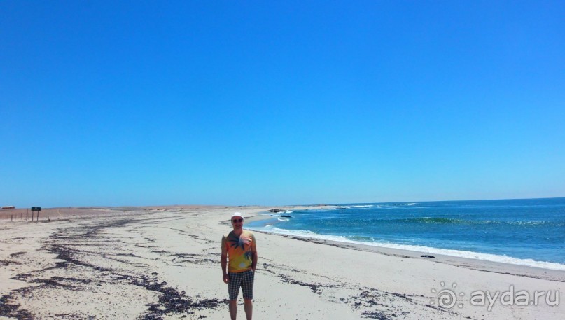 Намибия. Африка. Море морских котиков.