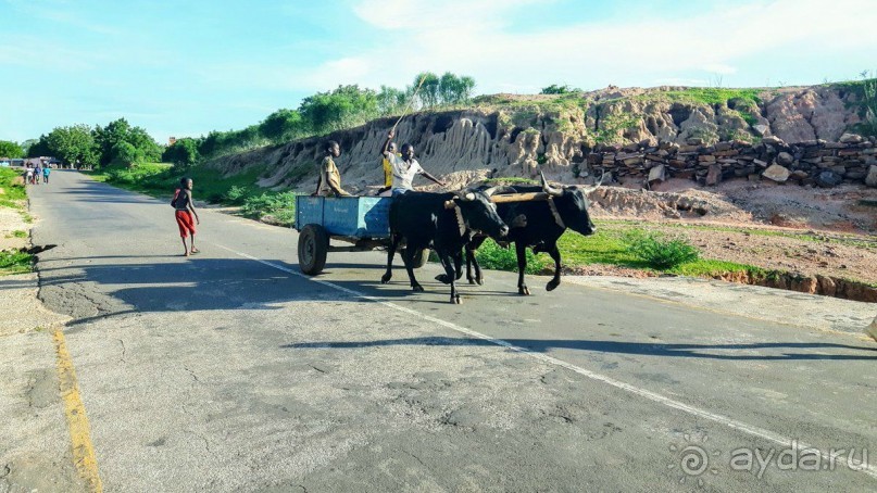 Африка, Замбия. Дети. 