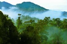 фото Борнео