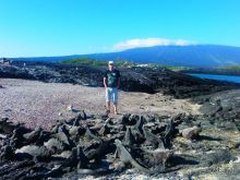 Галапагосские острова. Морская игуана.