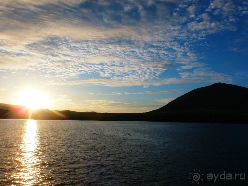 Галапагосские острова. Морская игуана.