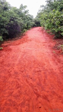 ЗАМБИЯ. АФРИКА.