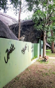 ЗАМБИЯ. АФРИКА.