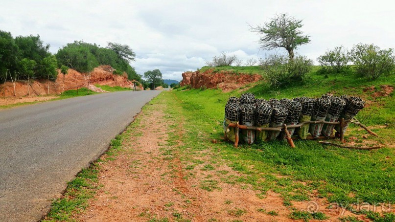 ЗАМБИЯ. АФРИКА.