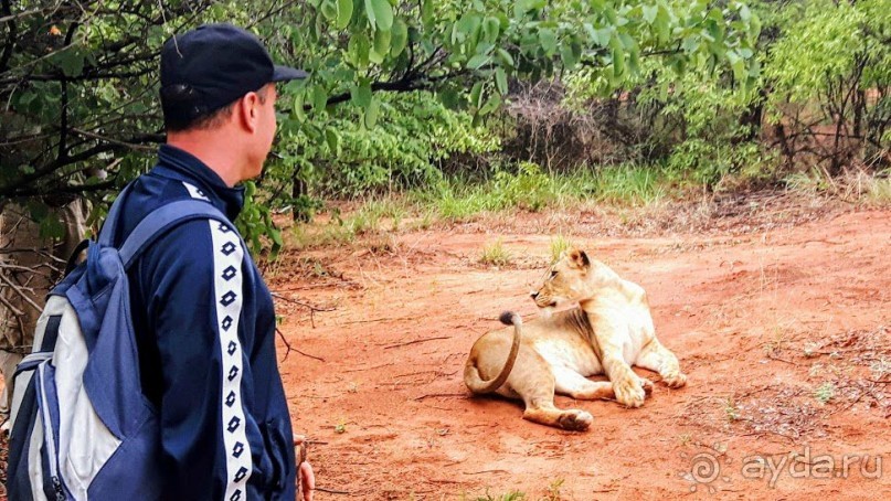 ЗАМБИЯ. АФРИКА.