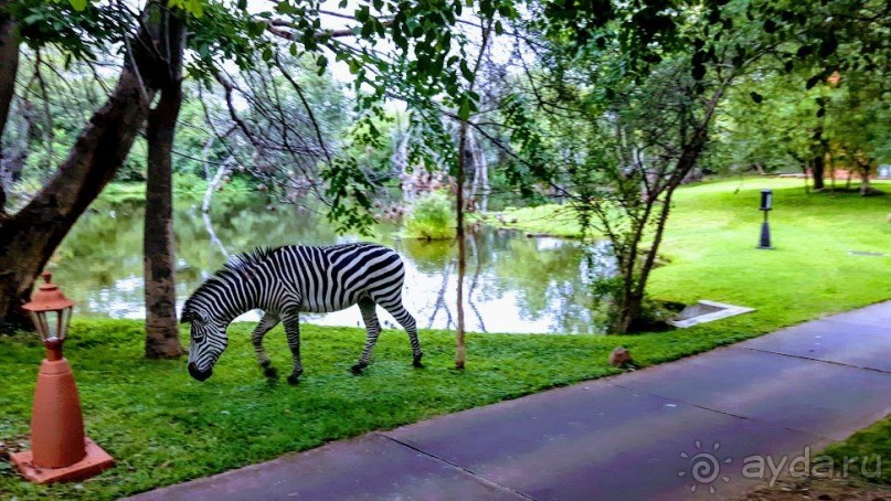 фото Замбии