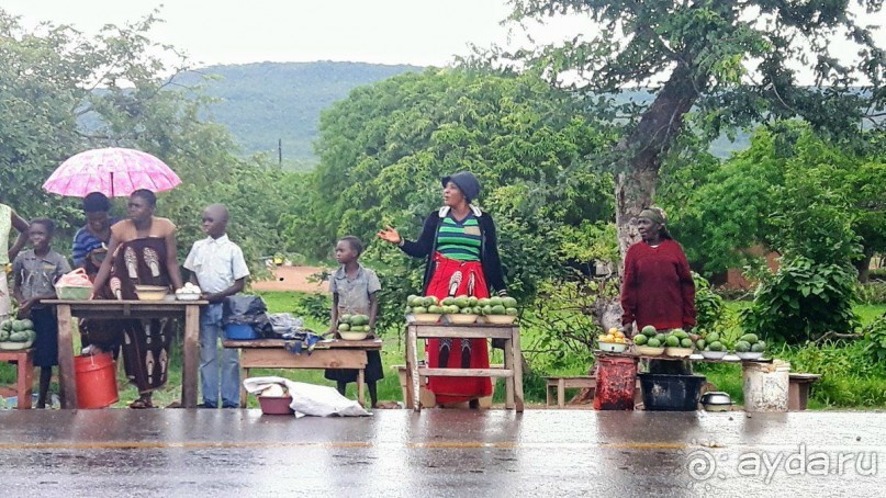 ЗАМБИЯ. АФРИКА.