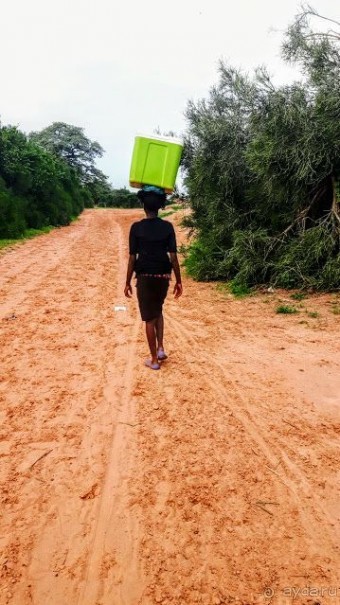 ЗАМБИЯ. АФРИКА.