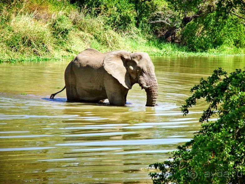 ЗАМБИЯ. АФРИКА.