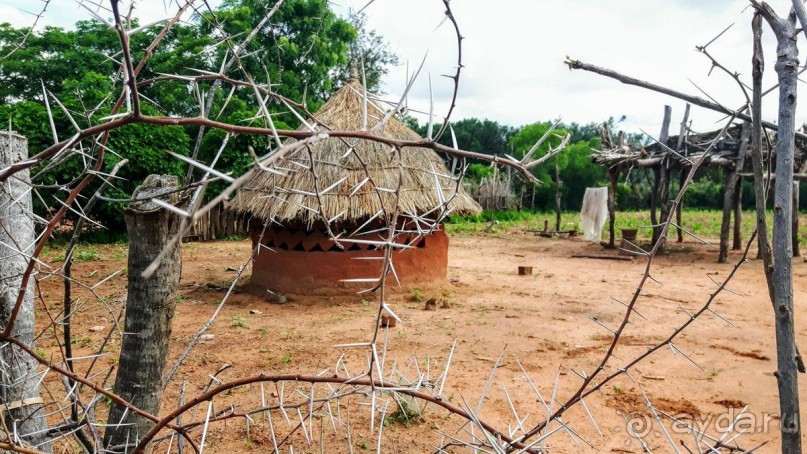 ЗАМБИЯ. АФРИКА.