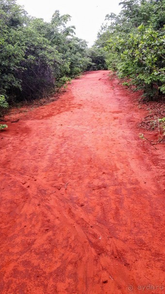 ЗАМБИЯ. АФРИКА.