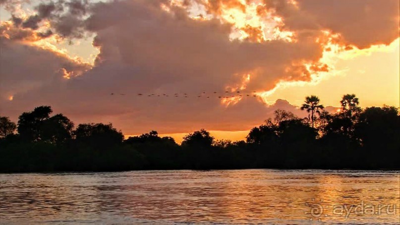 ЗАМБИЯ. АФРИКА.