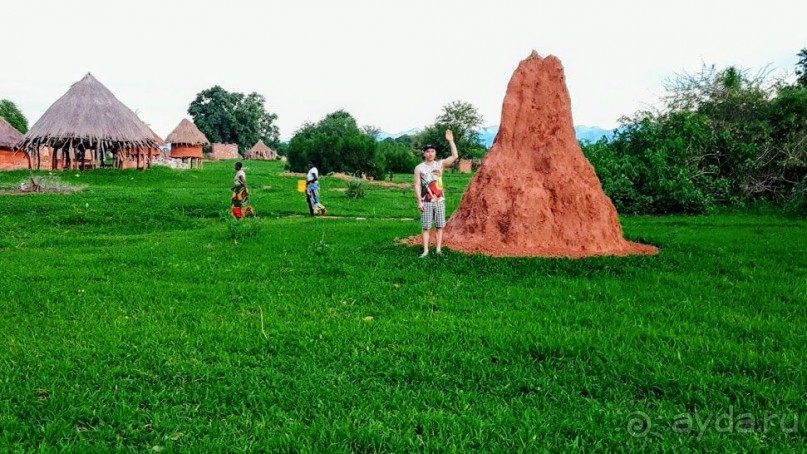 ЗАМБИЯ. АФРИКА.