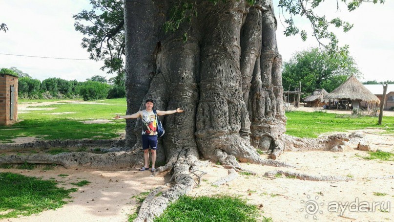 ЗАМБИЯ. АФРИКА.