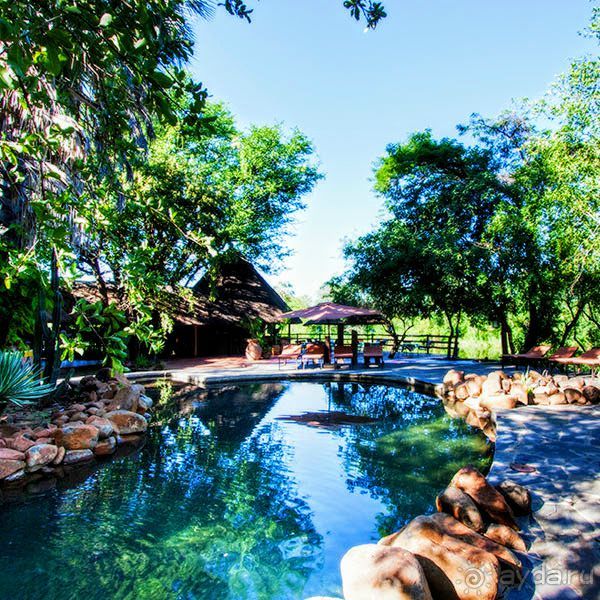 ЗАМБИЯ. АФРИКА.