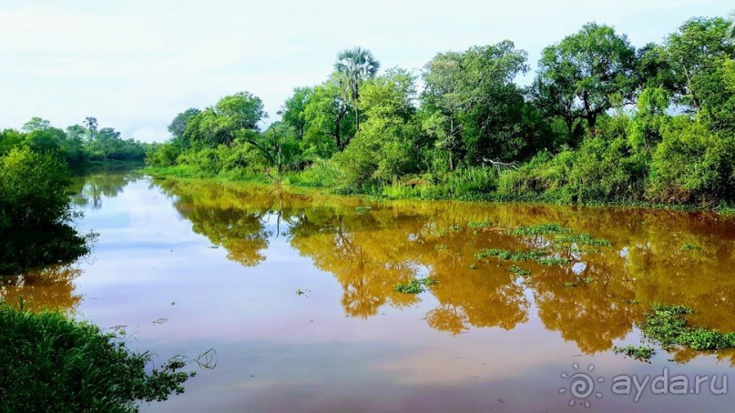 ЗАМБИЯ. АФРИКА.