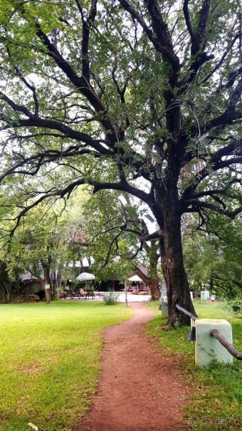 ЗАМБИЯ. АФРИКА.