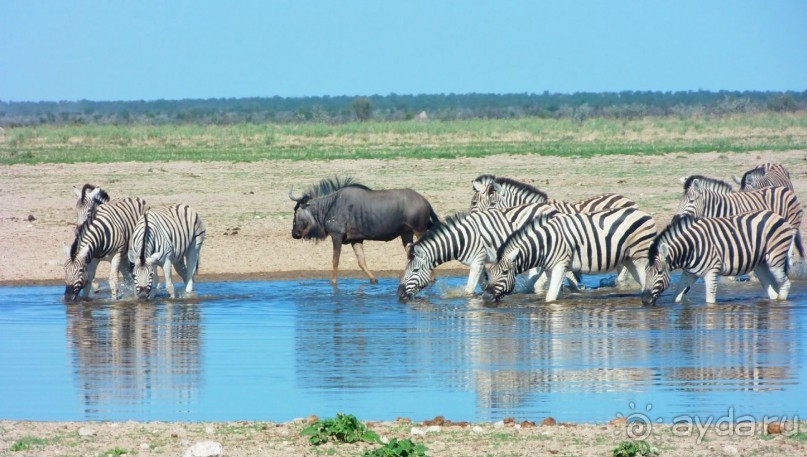 фото Пустыни Намиб